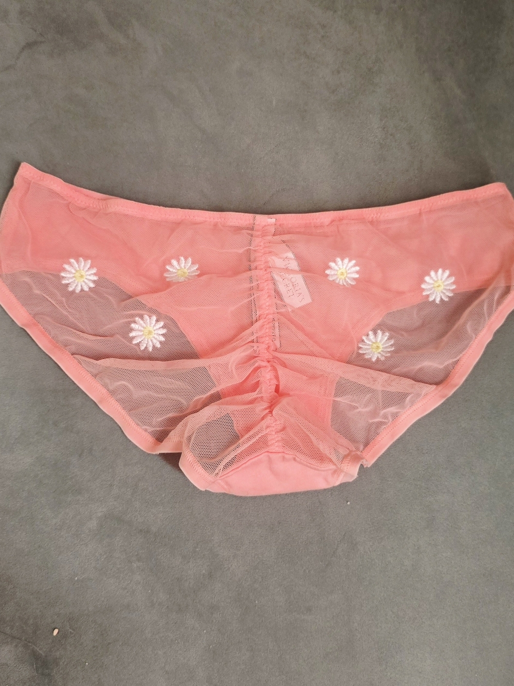 Sheer Daisy Embroidered Hipster Panty